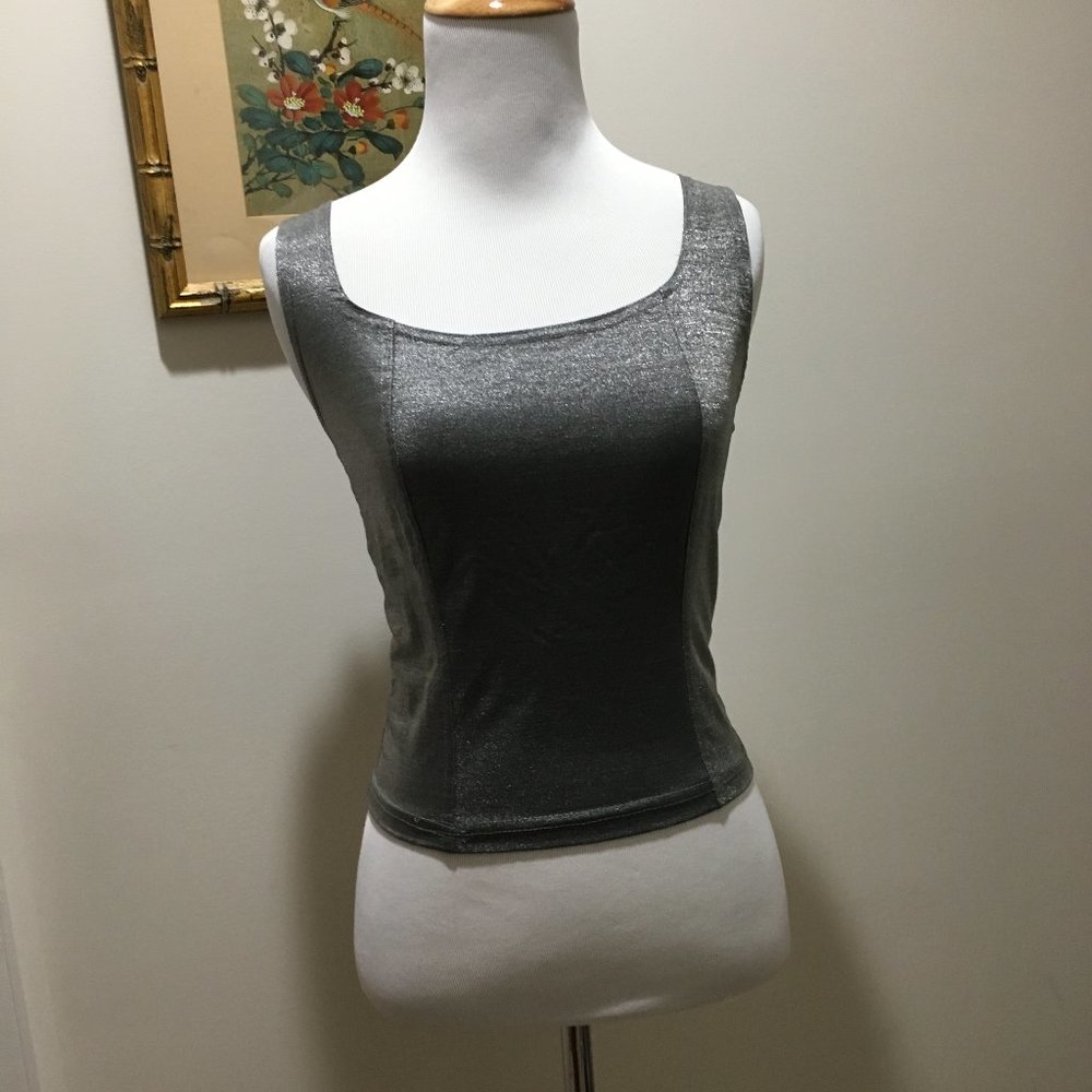 ⭐️ Vintage 90s Wild Fire Silver Metallic Crop Top